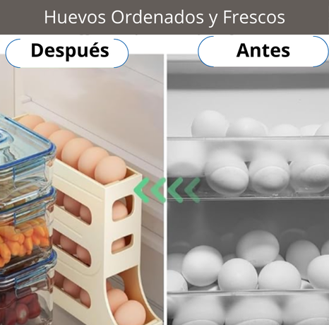 Dispensador de Huevos + prensador de ajo de regalo